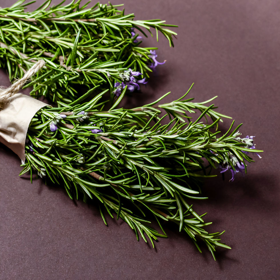 Fresh rosemary sprigs tied with twine on a dark brown background, featuring small purple flowers, creating a natural, earthy vibe.