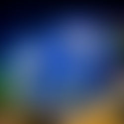 Close-up of vibrant blue forget-me-not flowers with yellow centers against a dark background. Pink buds are visible, adding contrast.