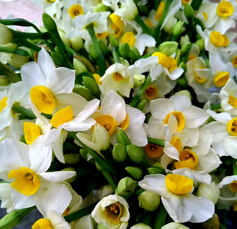A bouquet of white and yellow jonquil flowers with green stems, creating a fresh and vibrant display. Background is soft and neutral.