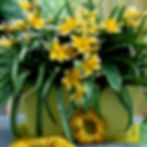 Yellow star-shaped late tulip flowers in a green pot with long leaves. A coiled yellow decoration lies nearby. Bright, sunny setting.