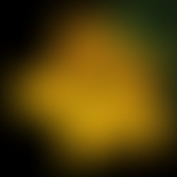 July 31st - The Pumpkin