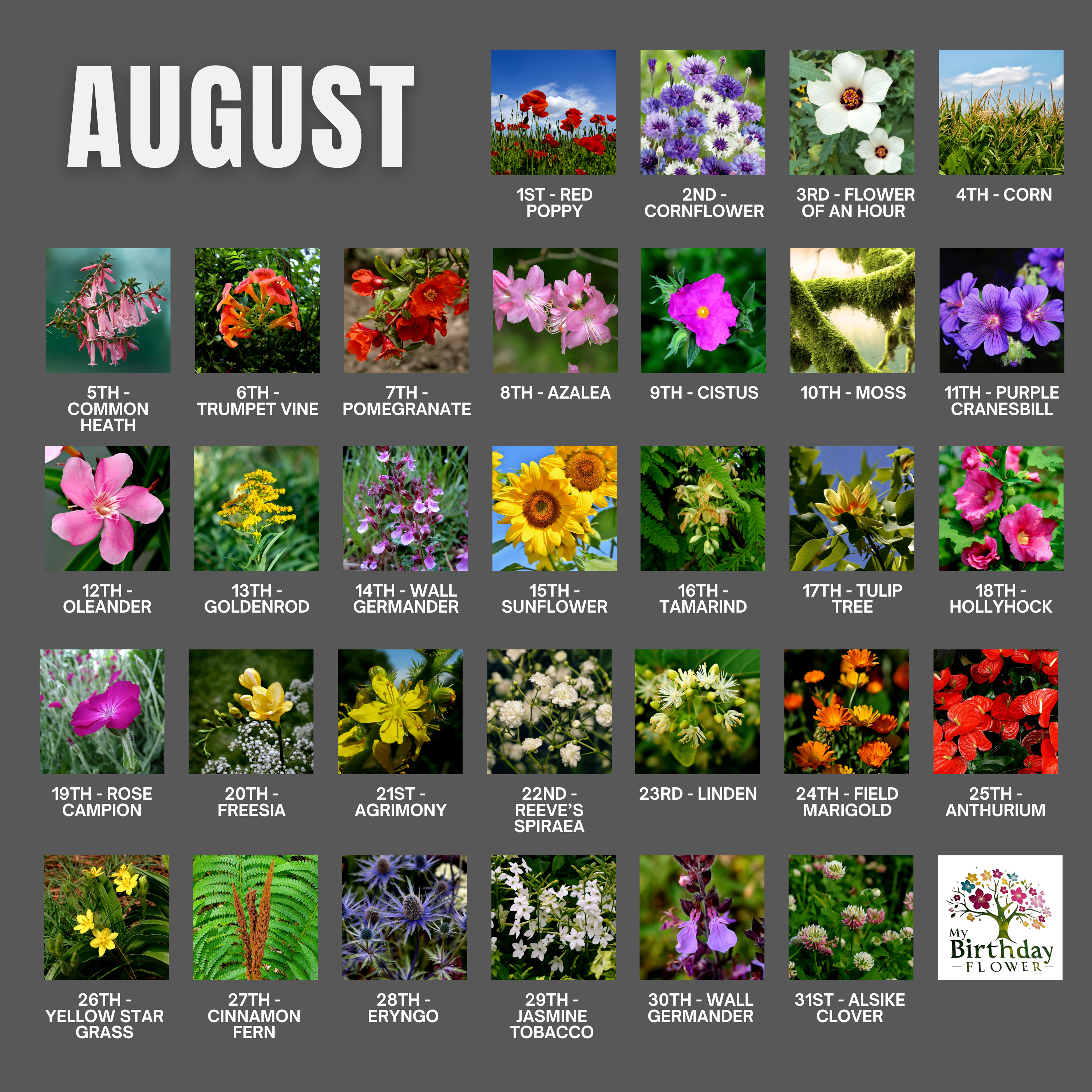 The Month of August PDFs