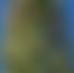 June 12th - The Mignonette