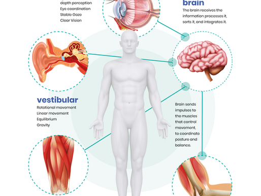 The Science of Balance & Fall Prevention