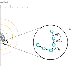 Balance Error Scoring System with force/pressure platform