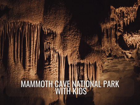Best U.S. Caves for Family Exploration (From Kentucky to New Mexico)