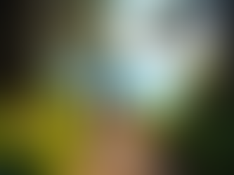 Explore the Best Family Trips in the USA