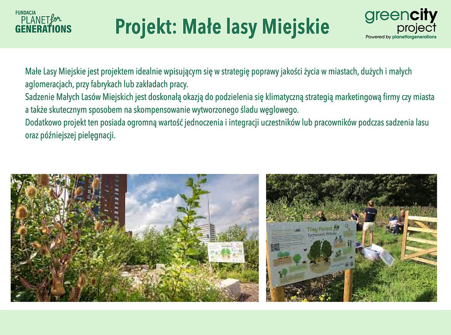 Projekty autorskie.005.jpeg