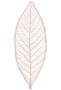 Click for download options