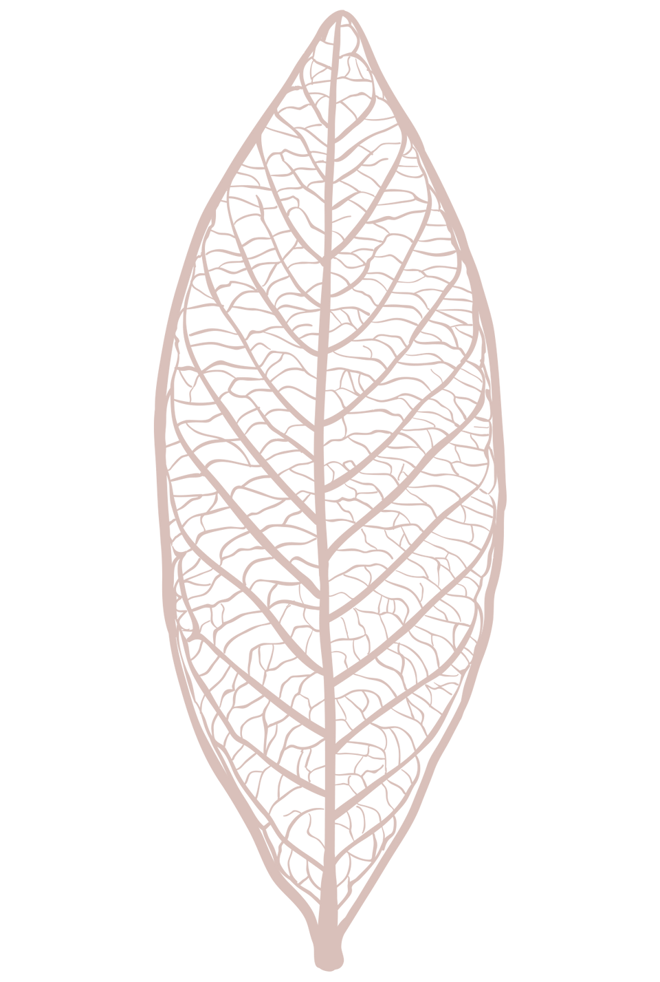 leaf6