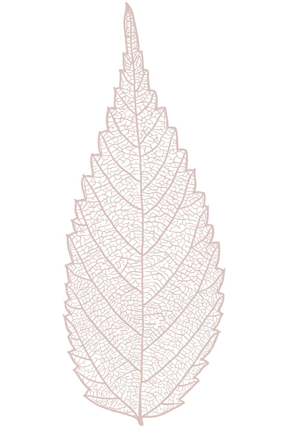 leaf4