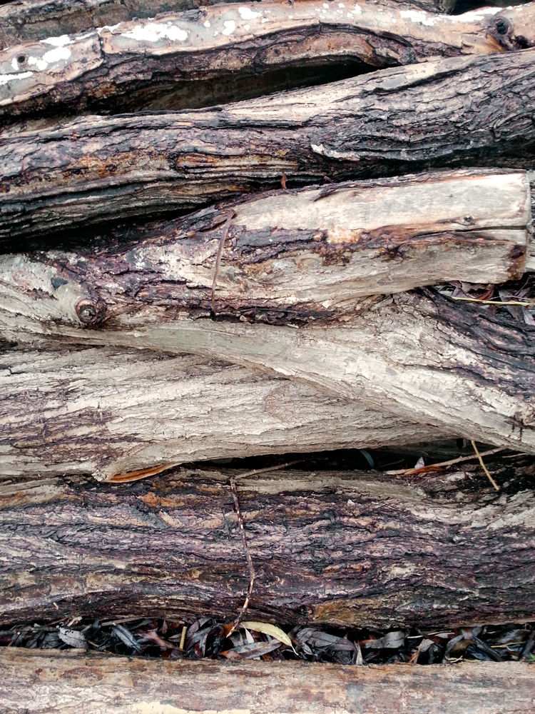 Free Bark Texture 7