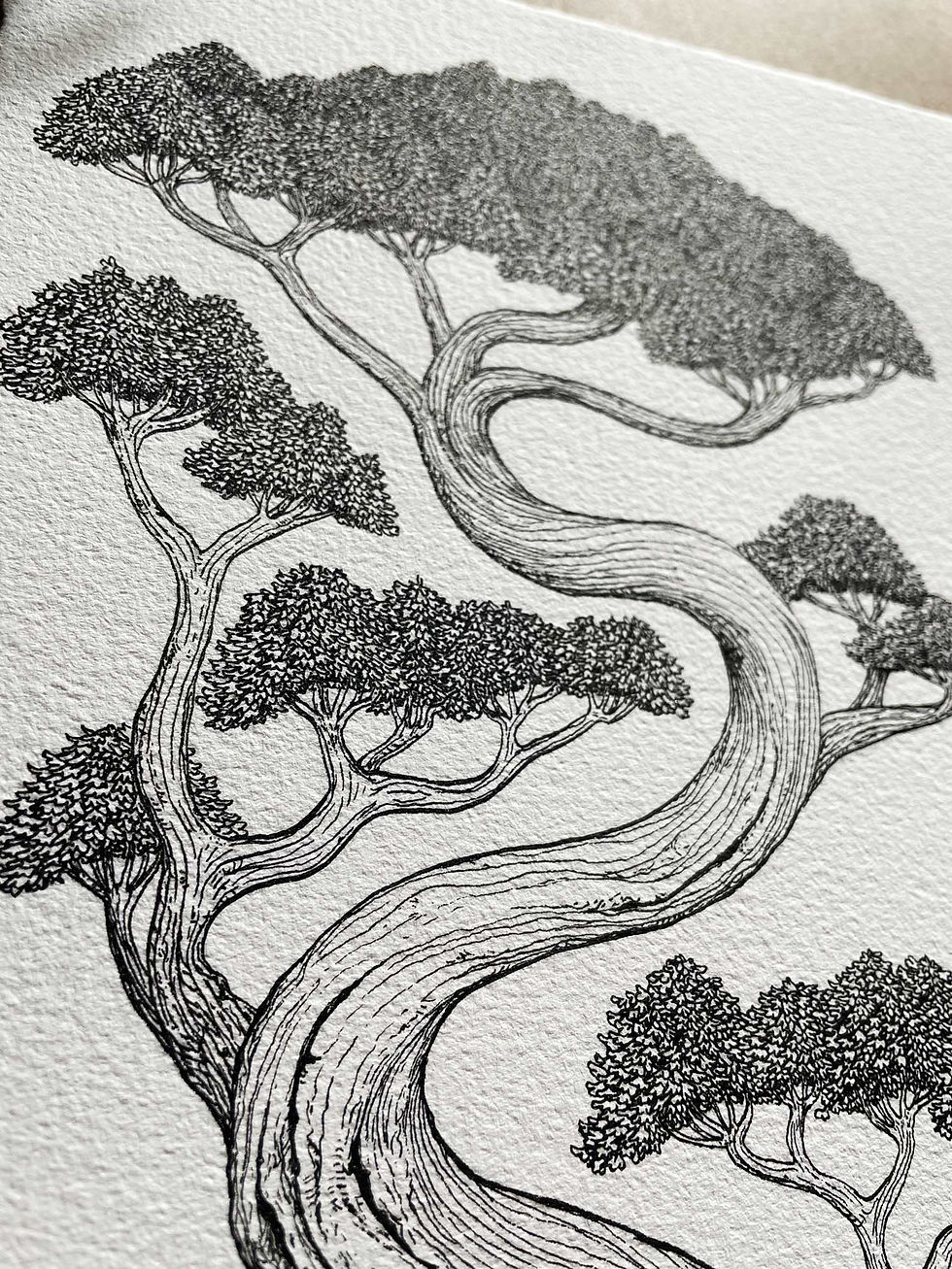 Thumbnail: Bonsai #1