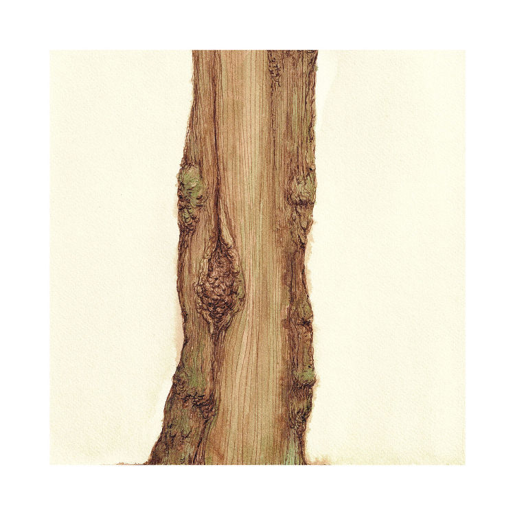 Thumbnail: Outside The Lines Limited Edition Print