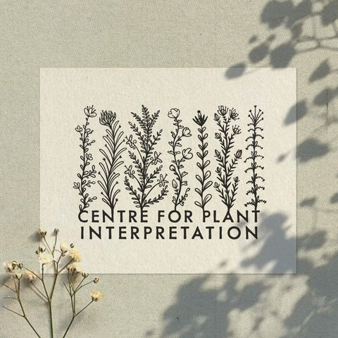 Logo Design and Illustration