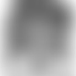 The Tree That Started It ALL