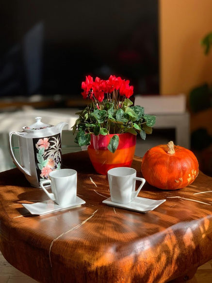 Artisan Botchorishvili Specialisé dans la rénovation résidentielle et commerciale