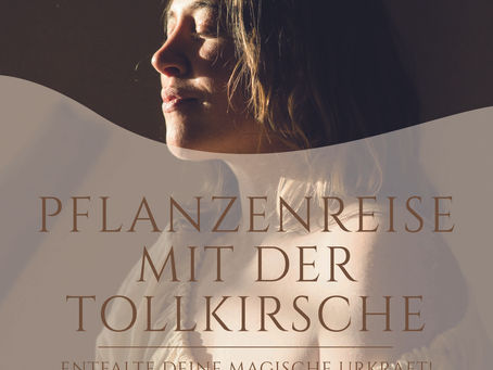 #64 Pflanzenreise mit der Tollkirsche. Entfalte deine magische Urkraft!