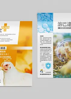 White Background_edited.jpg