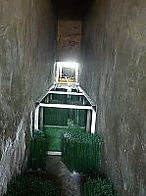 fincos_fischaufstieg_5.jpg