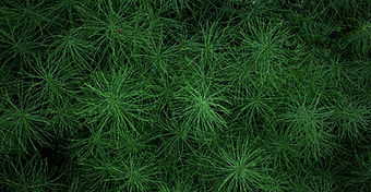 Publication n°10 - LinkedIn - Axelle BURBAN