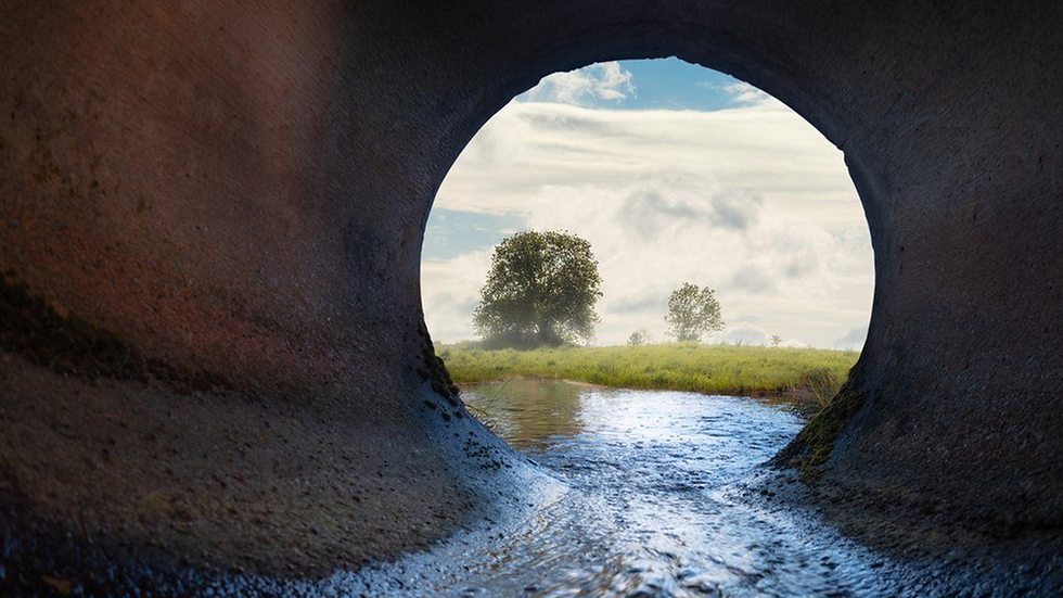 Environment Agency seeks jail for polluting water bosses