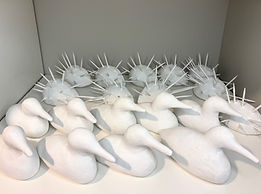 Loons Porcupines.jpeg