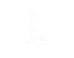 unnamed.png
