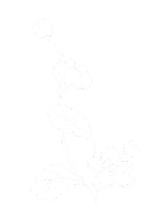 unnamed.png