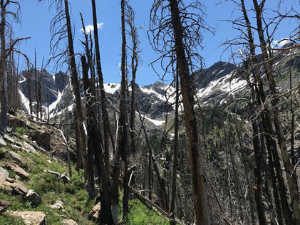 The Delusion of Non-Violence