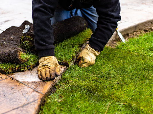 Gloved landscape worker fitting grass to the edge of outdoor masonry