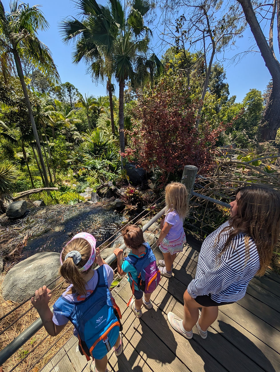Field Trip! San Diego Botanic Gardens