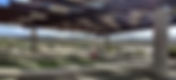 Nature Study! San Dieguito Lagoon