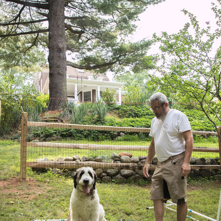 Man and dog in yard