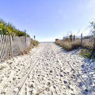 Sandy Toes 17.jpeg