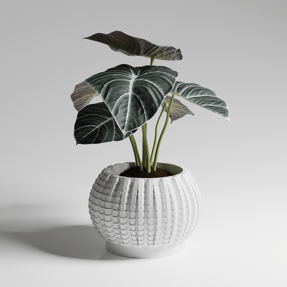 Miniaturbild: Vaso