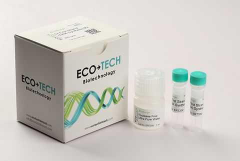 5x First Strand cDNA Synthesis Kit | EcoTech