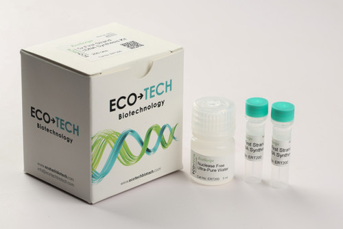 本日までの出品です　synthesis technology E560 5x First Strand cDNA Synthesis Kit | EcoTech