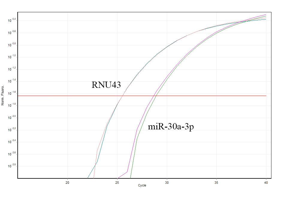 Thumbnail: 2x Probe Master Mix