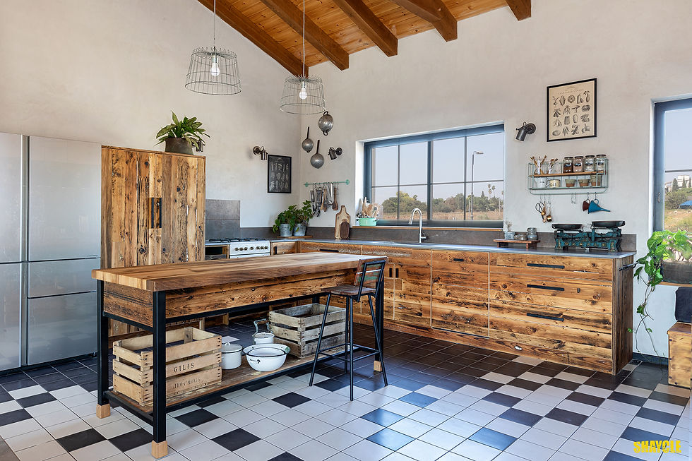 IMG_4135.1 מטבח אילון כרמי.jpg