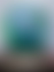 Amigos por el Planeta 2025