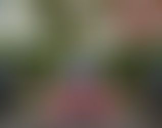 Remembrance Day at Wallace Hall