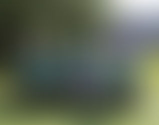 Welcome to our new Primary 1 Students