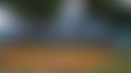 연휴에 어디로? 천만송이 백일홍이 기다리는 평창으로