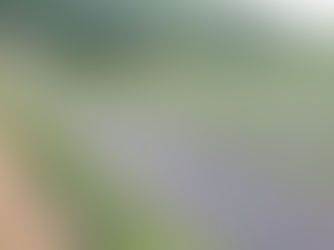 전국 대부분 지역에 단비 내려... 평창의 농가 한숨 돌려