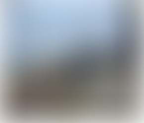 국립종자원 동부지원, 강릉 영진해변서 ‘비치코밍’ 환경정화 캠페인 펼쳐