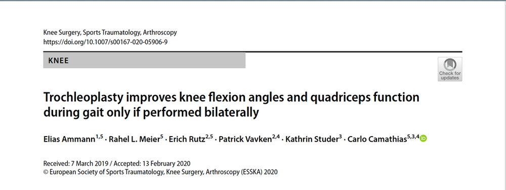 Dissertation ganganalyse image