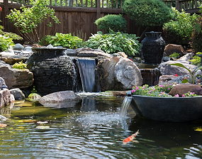 large pond.png