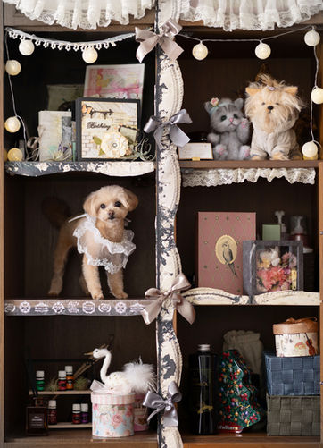 中型大型犬OKのペットフォトスタジオアートフォトガーデン｜犬・猫撮影｜姫路・太子町