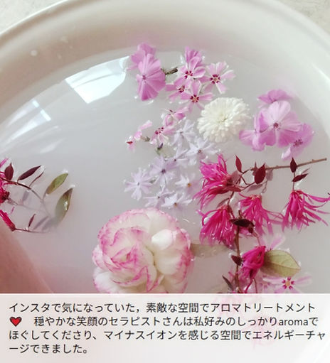 名称未設定のデザイン (1).jpg